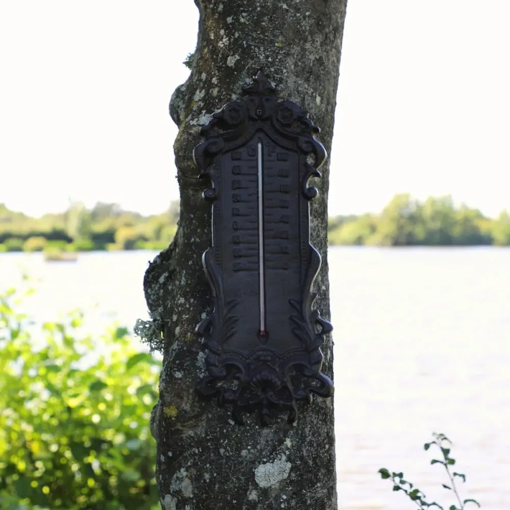 Illustration numéro 2 du produit Grand thermomètre extérieur décoratif vintage fonte marron 37cm