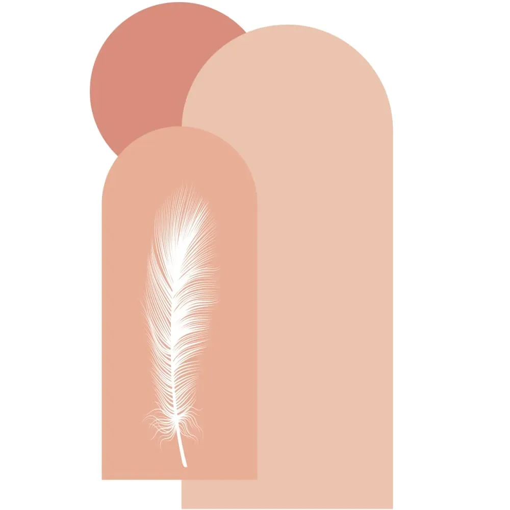 Illustration numéro 2 du produit Papier Peint arches et plume rose 200x120cm