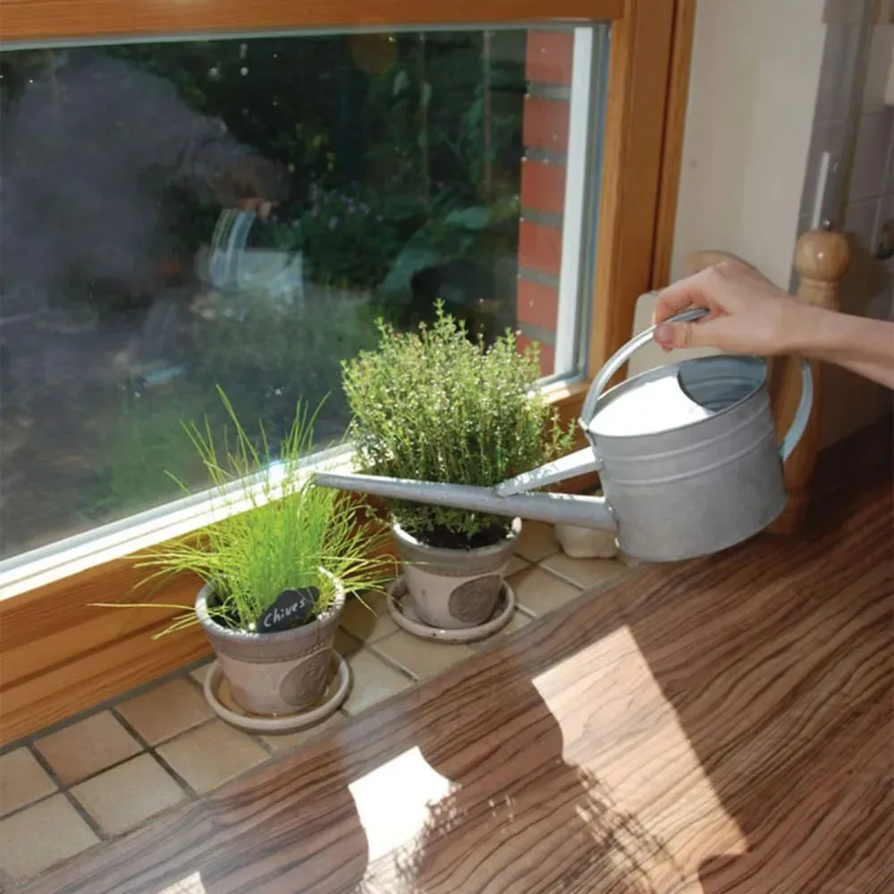 Illustration numéro 2 du produit Arrosoir intérieur zinc 1.6 litres