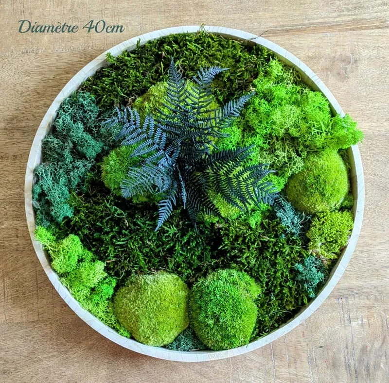 Illustration numéro 2 du produit Tableau végétal naturel rond en mousse stabilisée - Lot de 2- Canopé