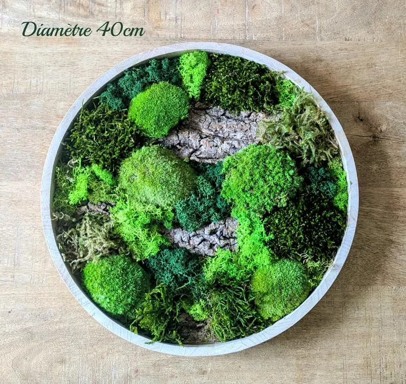 Illustration numéro 2 du produit Tableau végétal naturel rond en mousse stabilisée - Lot de 2- Forest