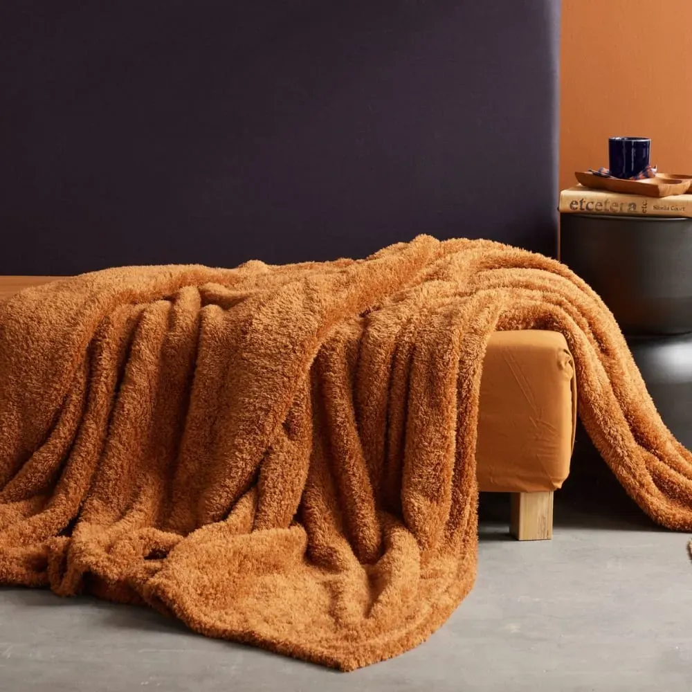 Illustration numéro 2 du produit Plaid polaire uni  180x220cm