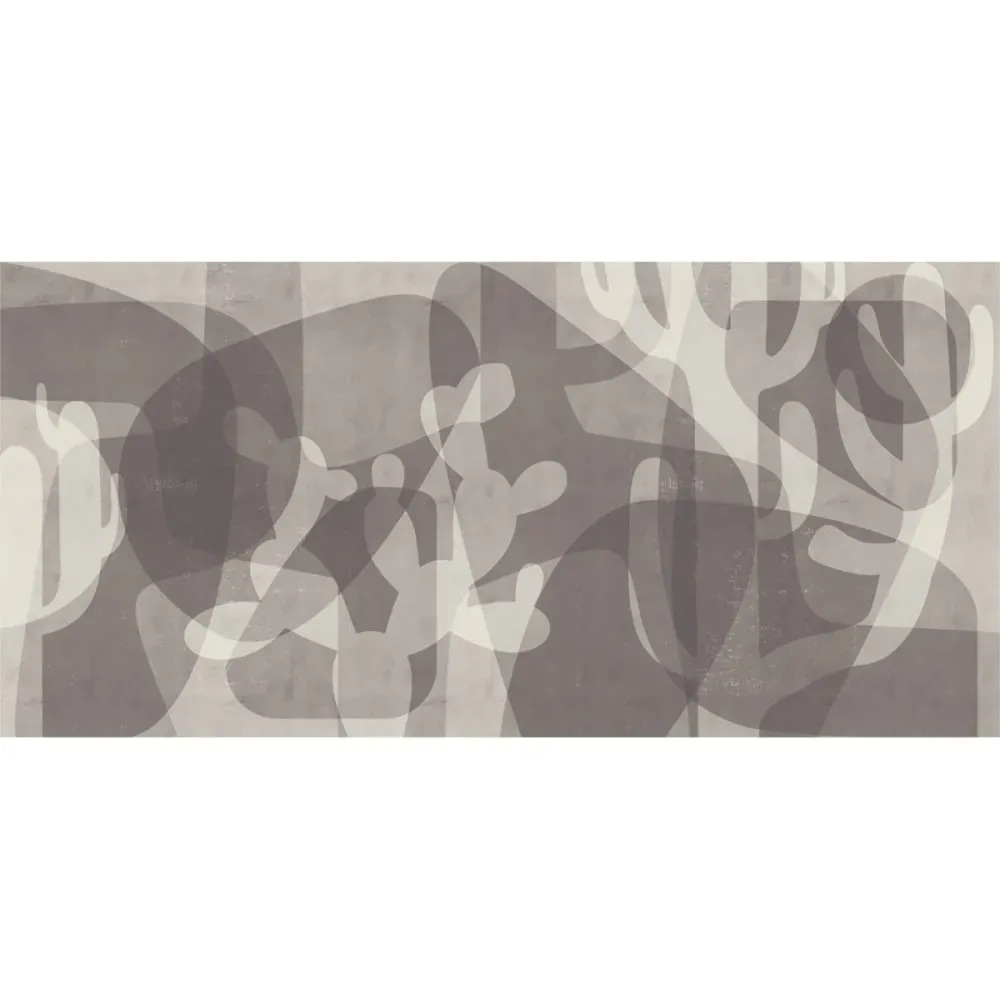 Illustration numéro 2 du produit Papier peint panoramique cactus gris foncé 525x250cm