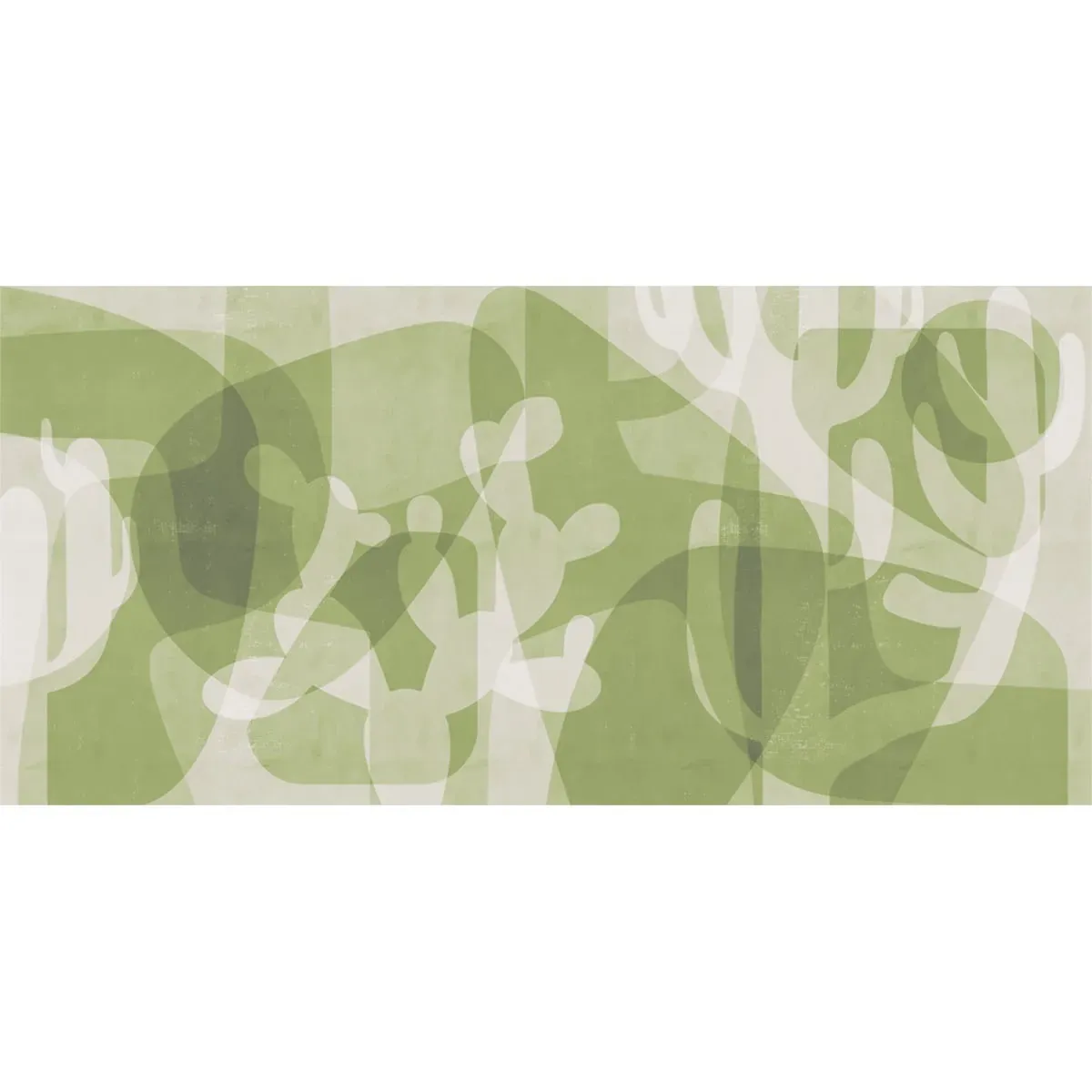 Illustration numéro 2 du produit Papier peint panoramique cactus vert clair 225x250cm
