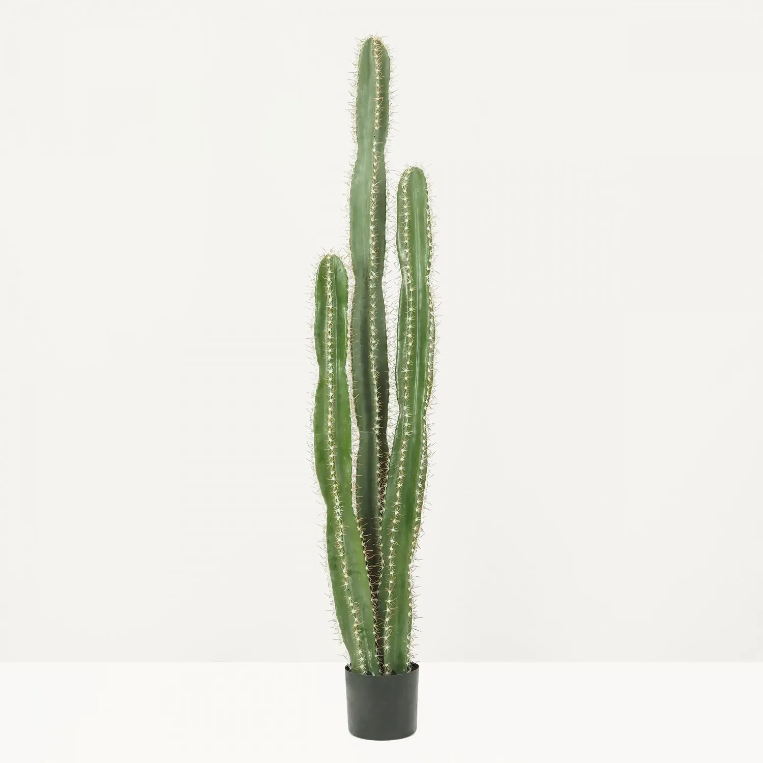 Illustration numéro 2 du produit Cactus artificiel grande taille 3 troncs 155cm