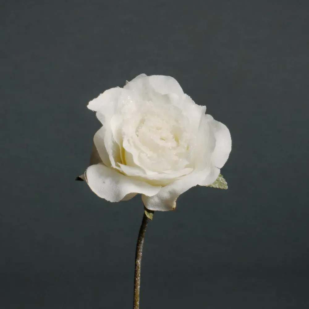 Illustration numéro 2 du produit Tige de rose artificielle enneigée ouverte blanche H28