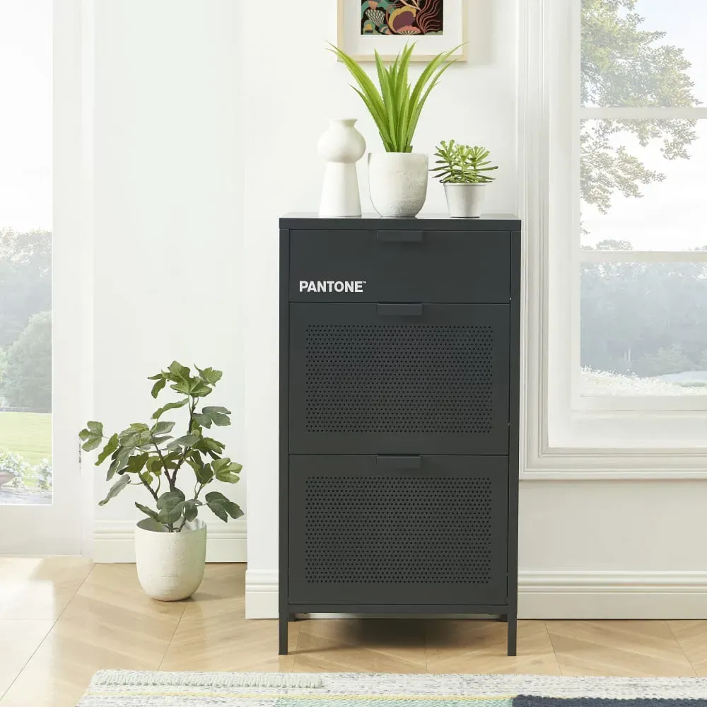 Illustration numéro 2 du produit Meuble à chaussures métal gris anthracite 55cm