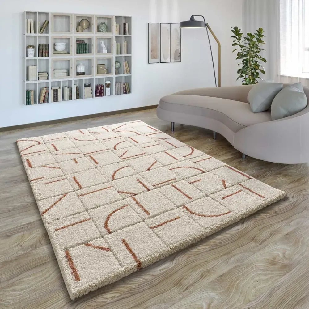 Illustration numéro 2 du produit Tapis à relief a póils longs beige/rouille 80x150 cm