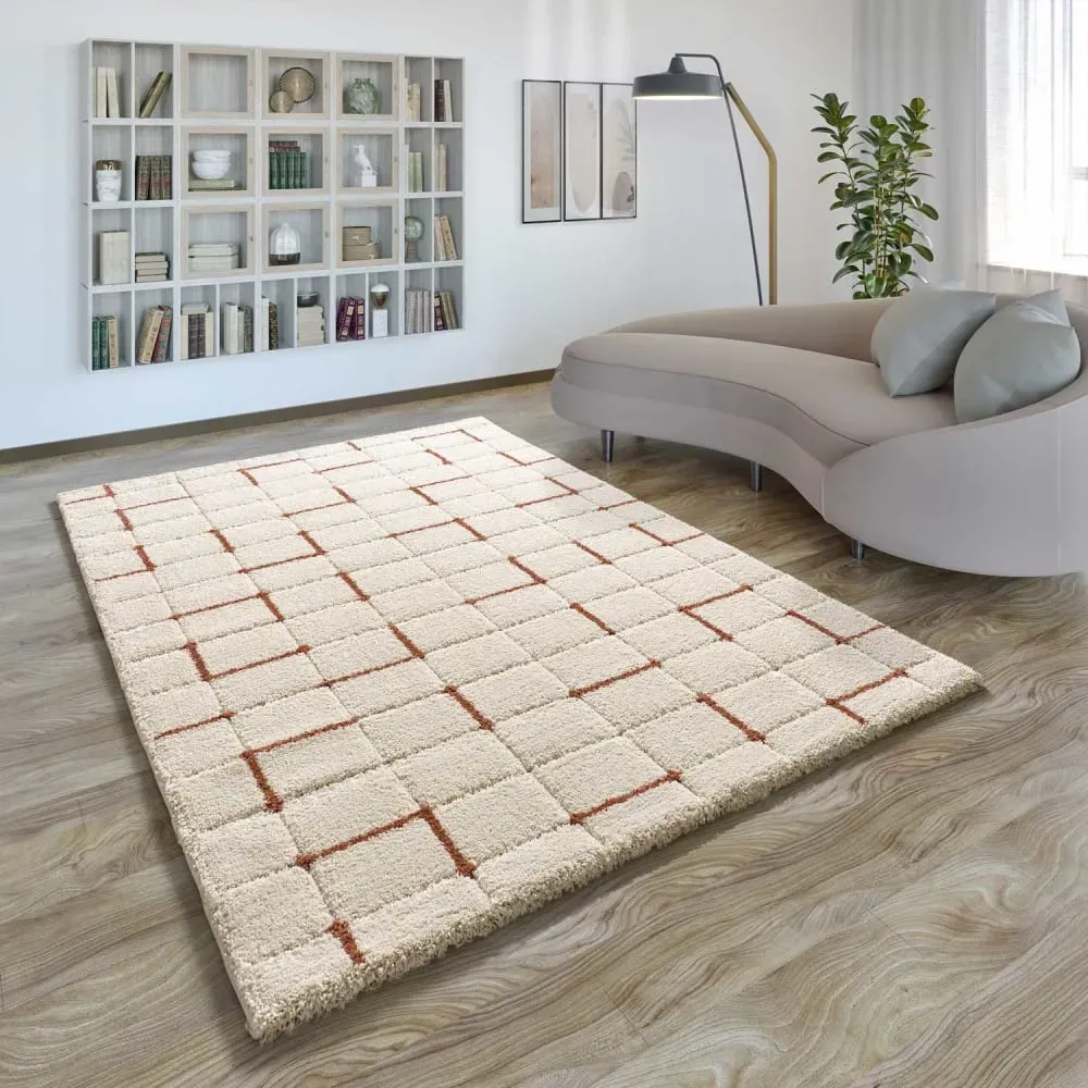 Illustration numéro 2 du produit Tapis à relief a póils longs beige/rouille 80x150 cm