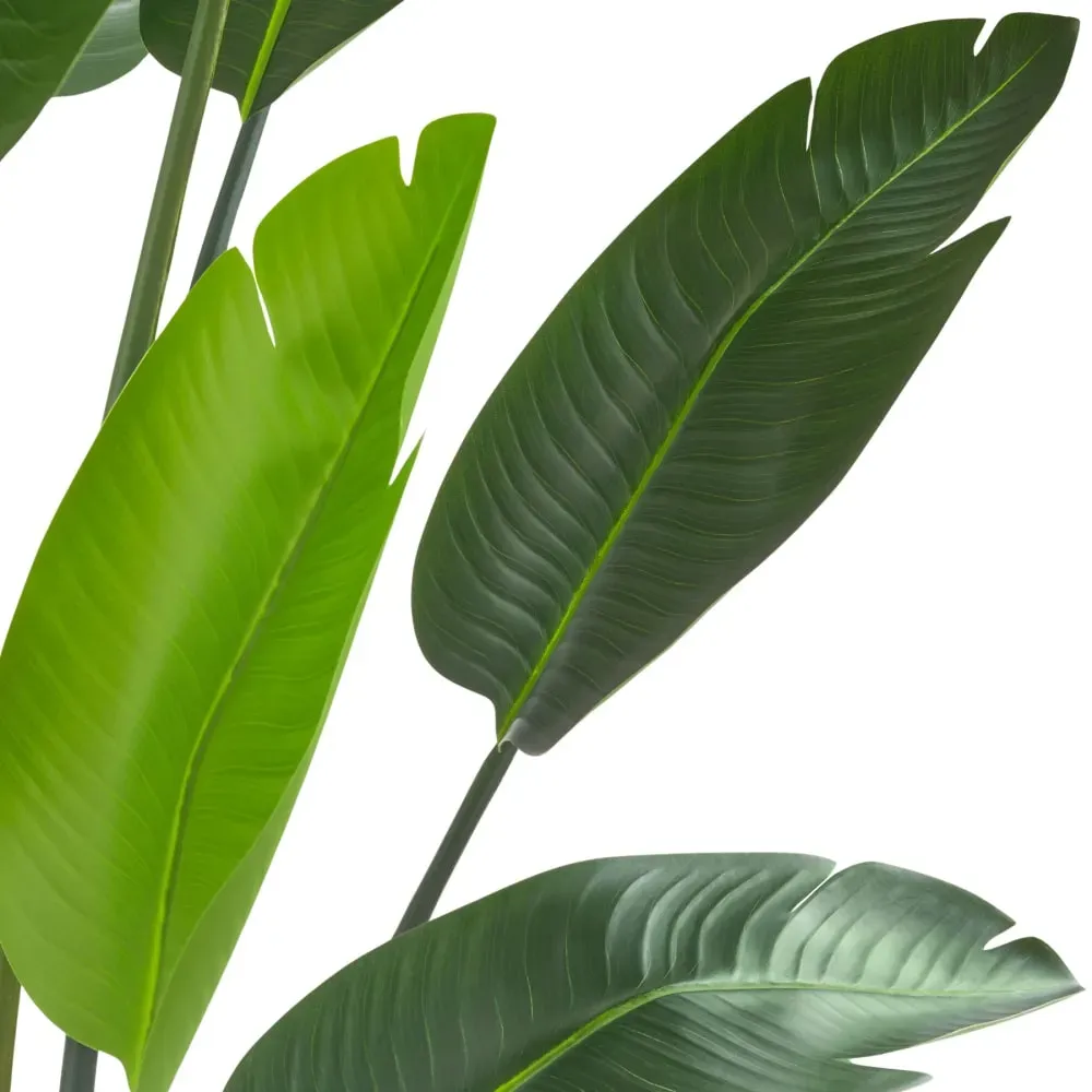 Illustration numéro 2 du produit Arbre oiseau du paradis avec feuilles PEVA écologiques 120cm