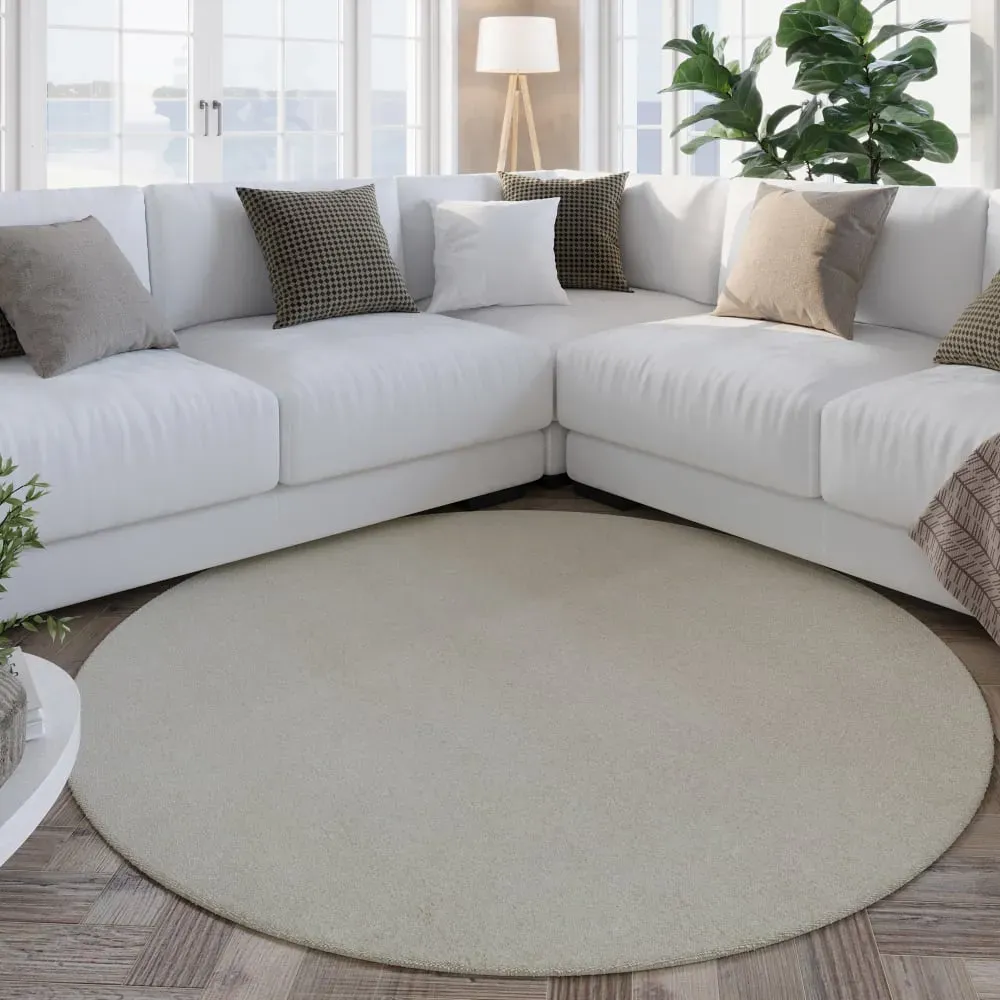 Illustration numéro 2 du produit Tapis pure laine écru  tufté main uni  200 rd.