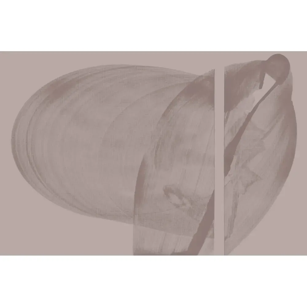 Illustration numéro 2 du produit Papier peint panoramique graphique brun 225x250cm