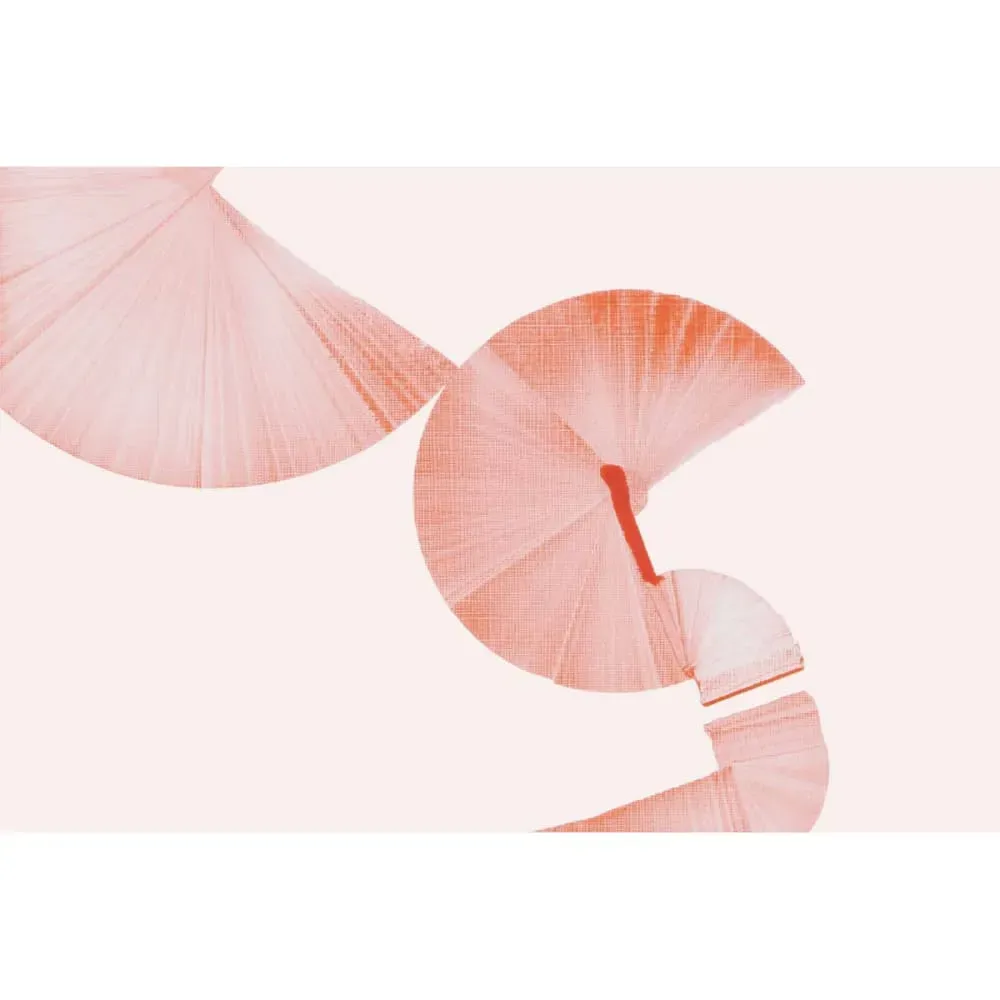 Illustration numéro 2 du produit Papier peint panoramique graphique rouge 225x250cm