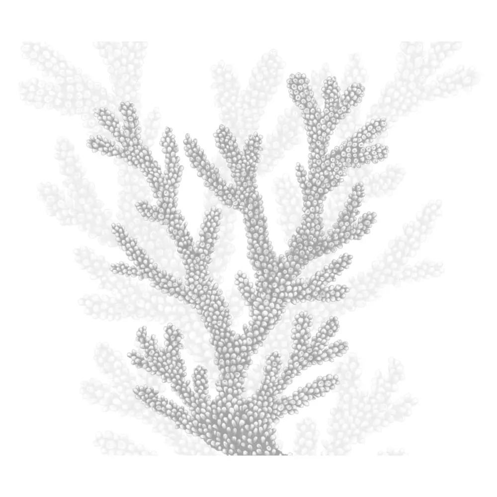 Illustration numéro 2 du produit Papier peint panoramique corail gris 300x250cm