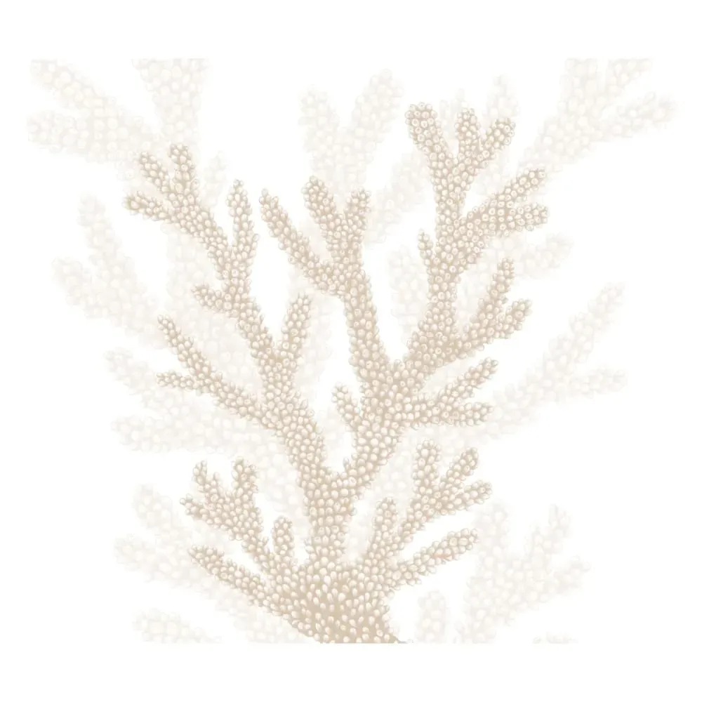 Illustration numéro 2 du produit Papier peint panoramique corail beige 150x250cm