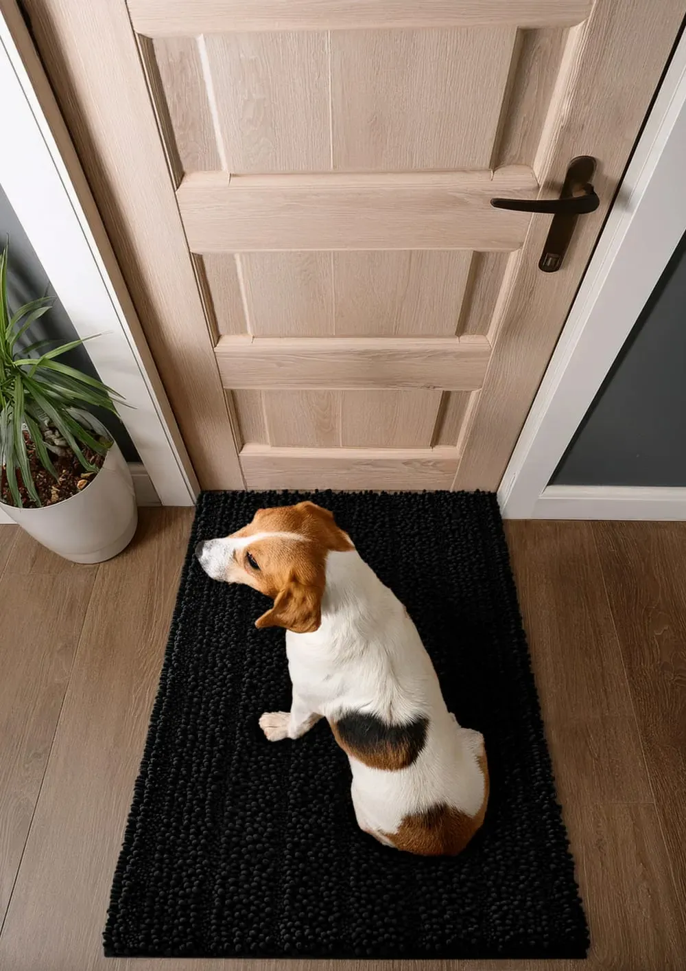 Illustration numéro 2 du produit Tapis d'entrée pour toutou noir 80x150