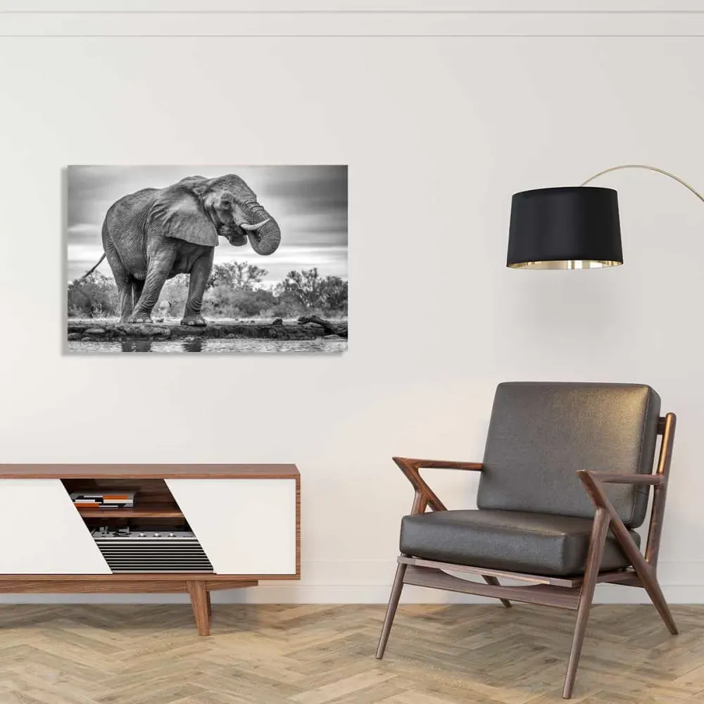 Illustration numéro 2 du produit Tableau animaux standing proud toile imprimée 120x80 cm