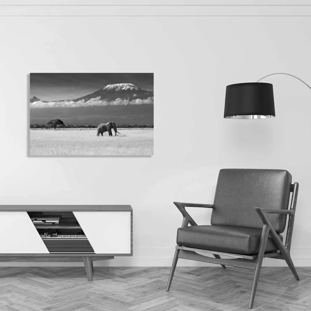 Illustration numéro 2 du produit Tableau elephant et kilimanjaro toile imprimée 120x80 cm
