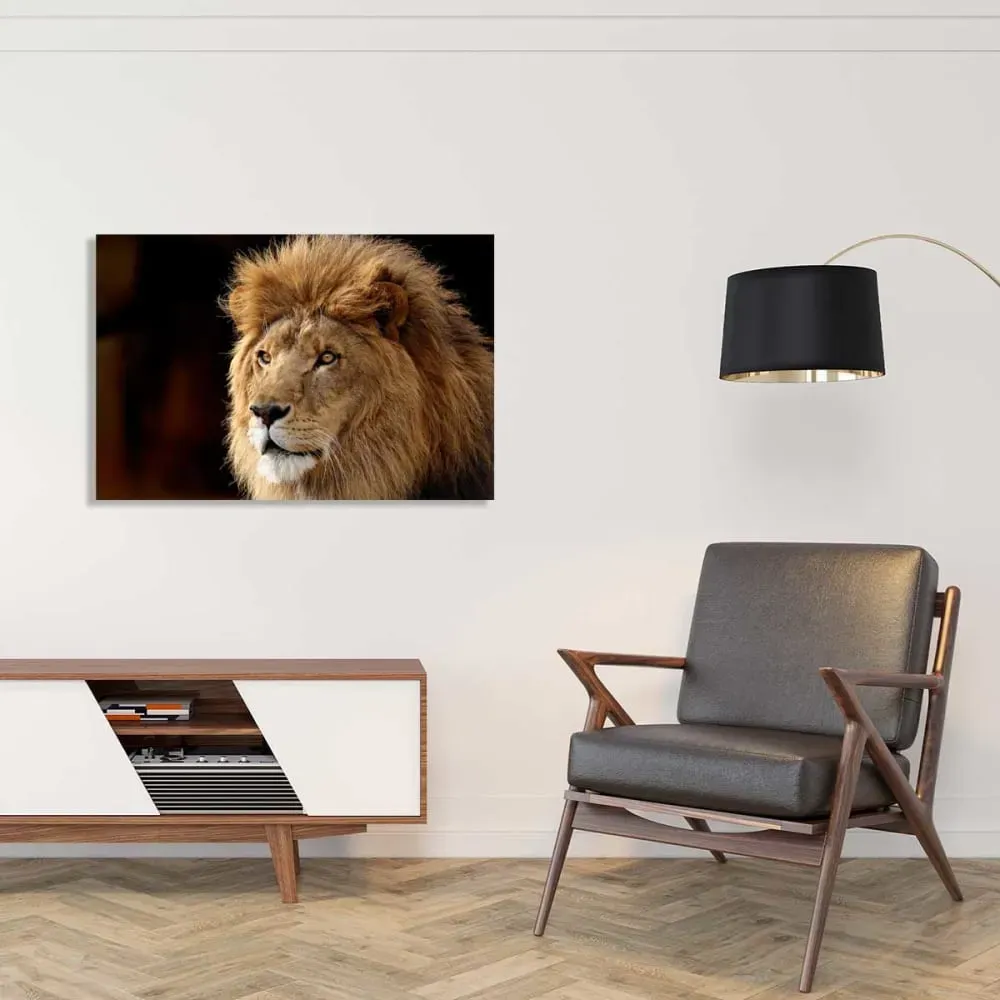 Illustration numéro 2 du produit Tableau lion imprimé sur toile 90x60 cm