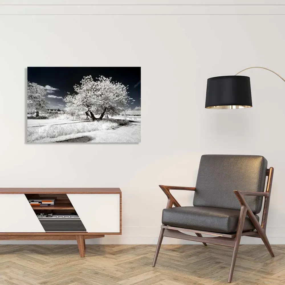 Illustration numéro 2 du produit Tableau paris jardin blanc comme neige  imprimé sur toile 90x60 cm