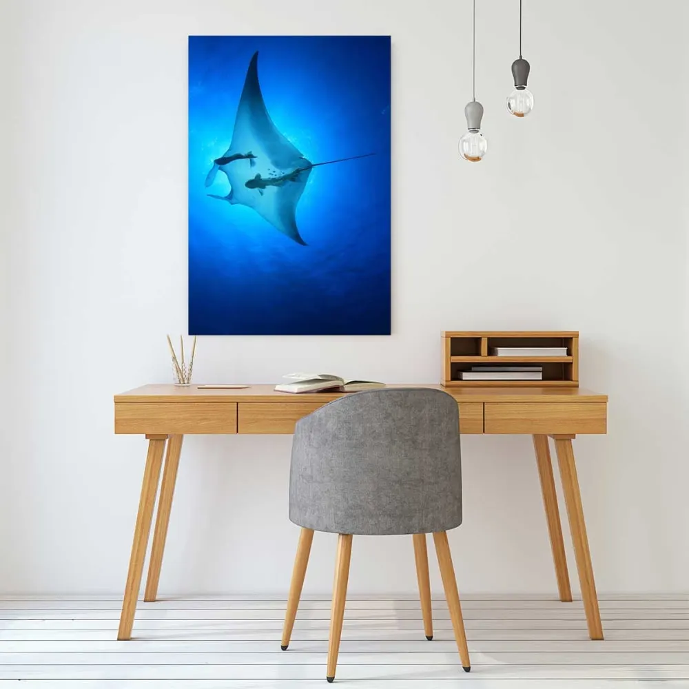 Illustration numéro 2 du produit Tableau animaux marins raie manta imprimé sur toile 60x90 cm