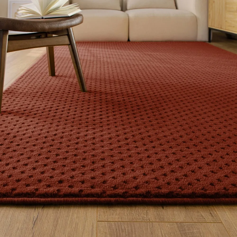 Illustration numéro 2 du produit Tapis en laine avec relief rouge brique140x200