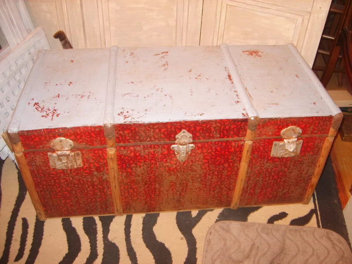 Illustration numéro 2 du produit Malle du Portugal