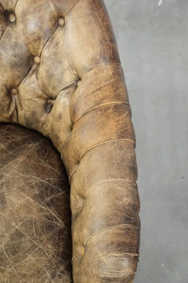 Illustration numéro 2 du produit Fauteuil club Chesterfield en cuir de vache unique avec une belle combinaison de couleurs.