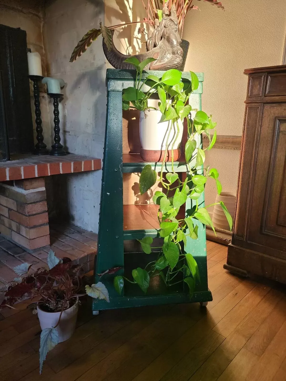 Illustration numéro 2 du produit Meuble de métier, bibliothèque indistrielle vintage vers 1950