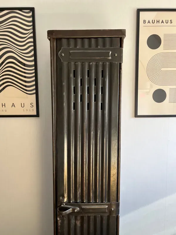 Illustration numéro 2 du produit Ancien vestiaire Strafor 1 porte vintage industriel