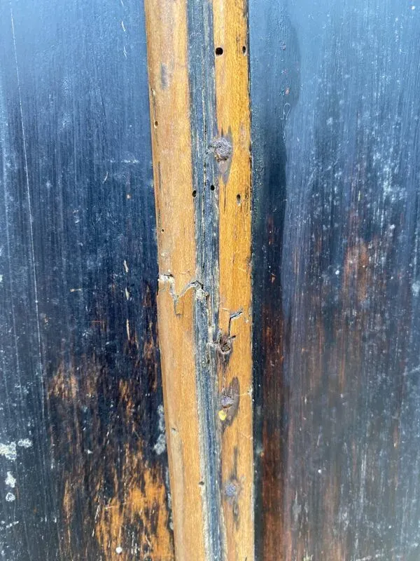 Illustration numéro 2 du produit Portes de placard double en bois et verre