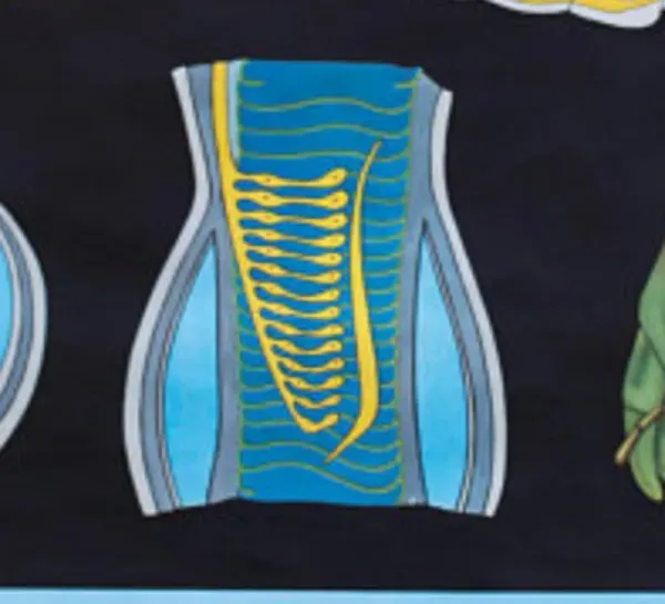 Illustration numéro 2 du produit Affiche murale de l’école de Jung-Koch-Quentell ''sauterelle'' 1971