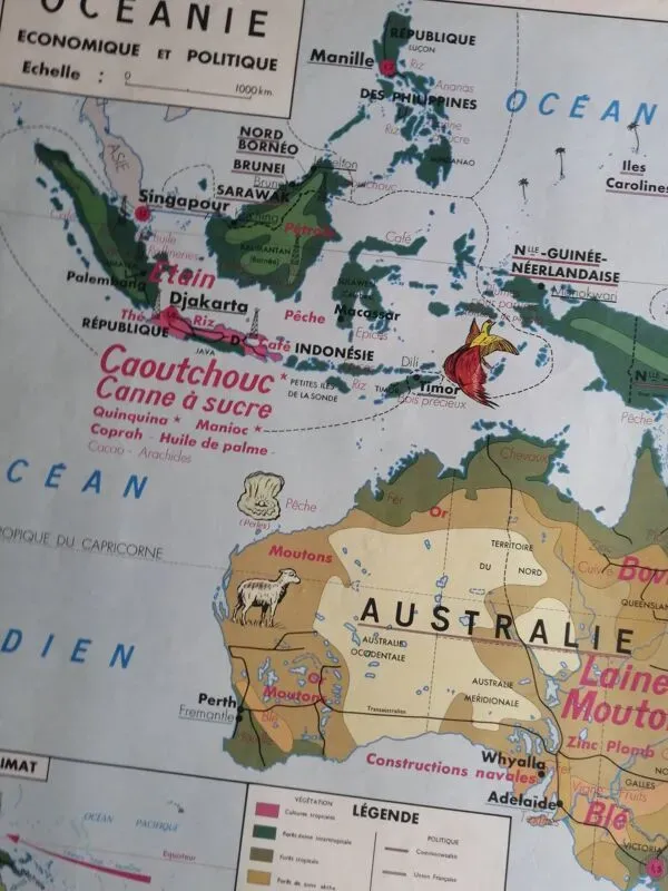 Illustration numéro 2 du produit Carte scolaire MDI : AMÉRIQUE DU SUD- OCÉANIE faune végétation.