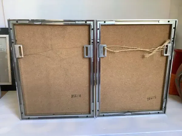 Illustration numéro 2 du produit Paire d’illustrations d’oiseaux encadrés