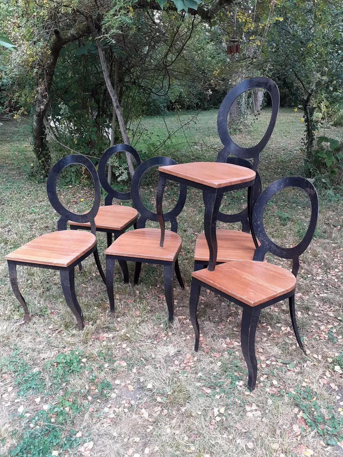 Illustration numéro 2 du produit Set de 6 chaises années 80 de style Louis XVI