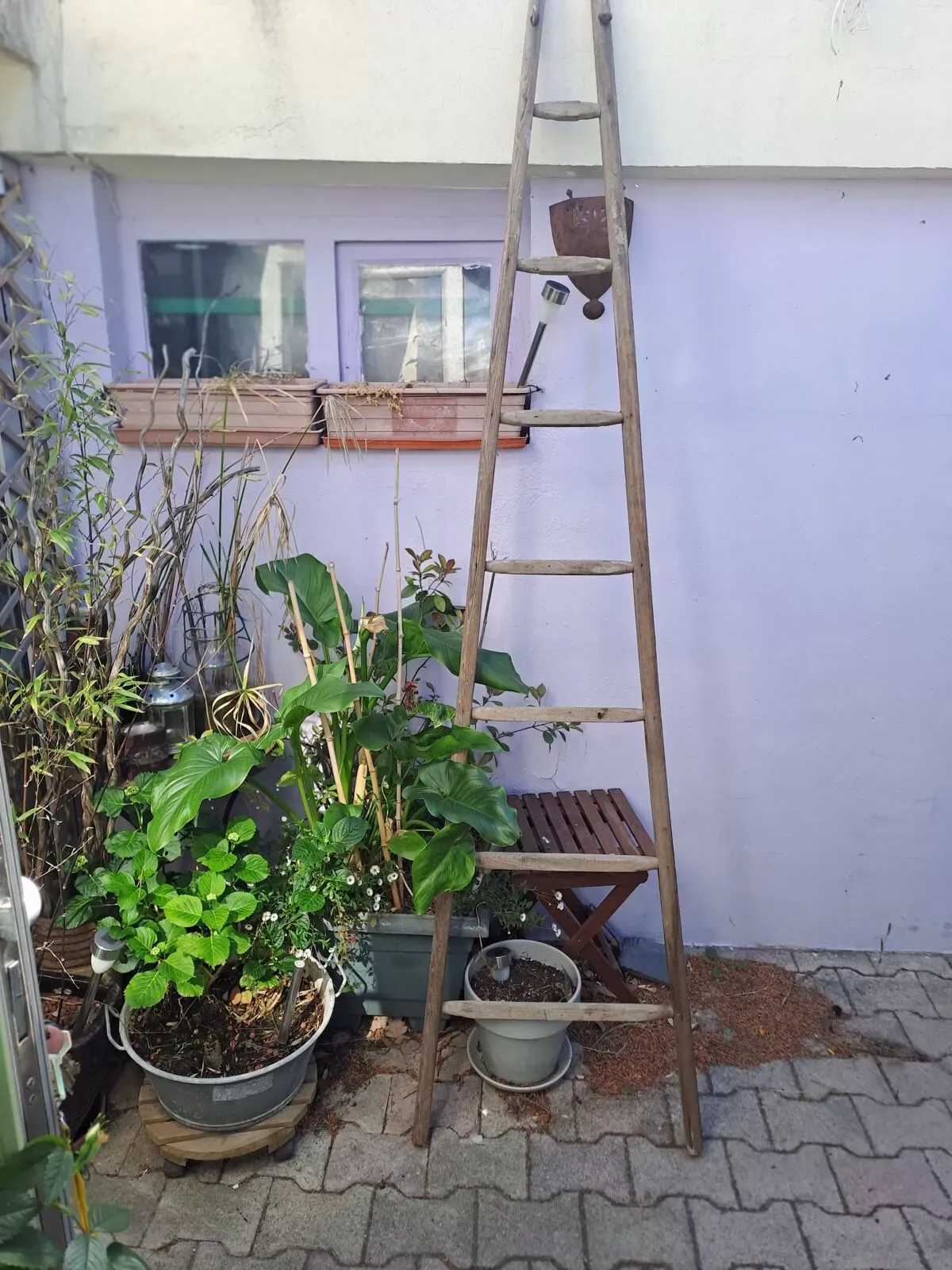 Illustration numéro 2 du produit Echelle de cueillette en bois vintage 7 barreaux