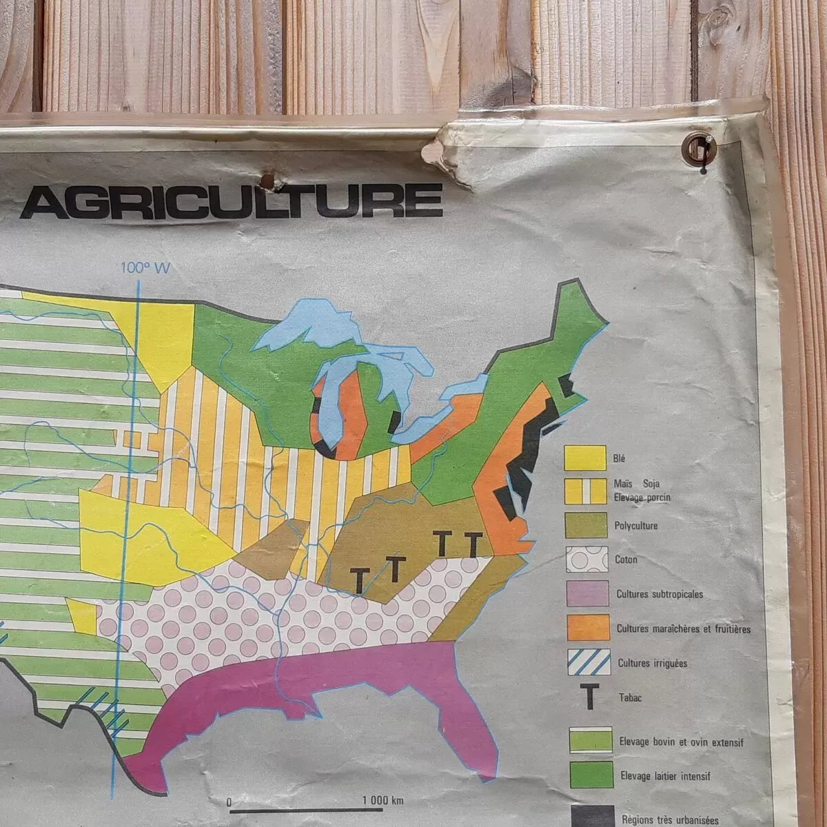 Illustration numéro 2 du produit Carte scolaire représentant les Etats-Unis d'Amérique