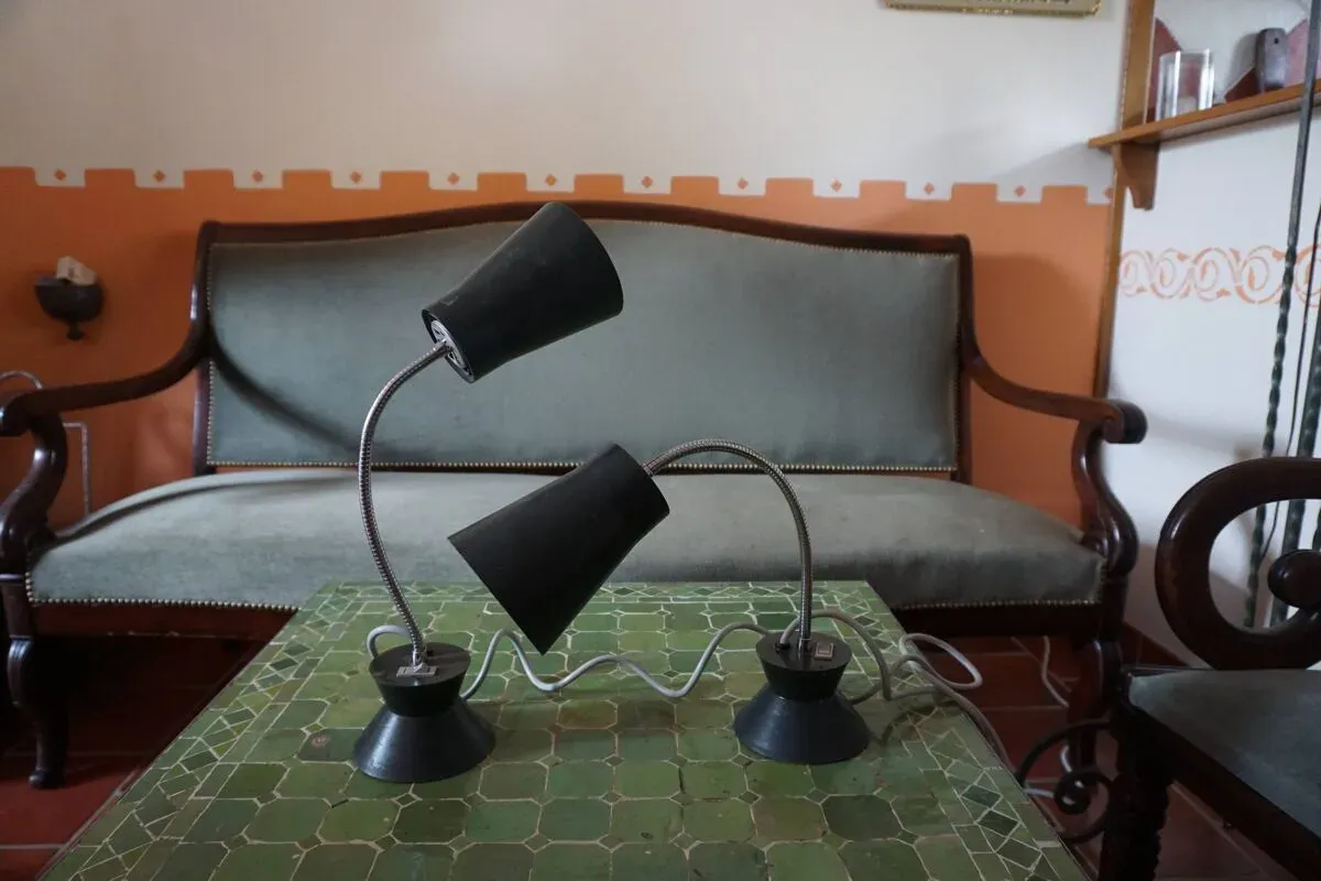 Illustration numéro 2 du produit paire de lampes industrielles Armélec