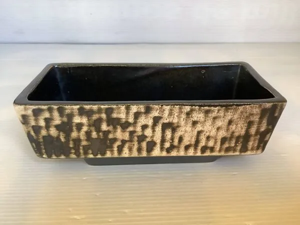 Illustration numéro 2 du produit Petite jardinière cactus Aldi Reuver Holland