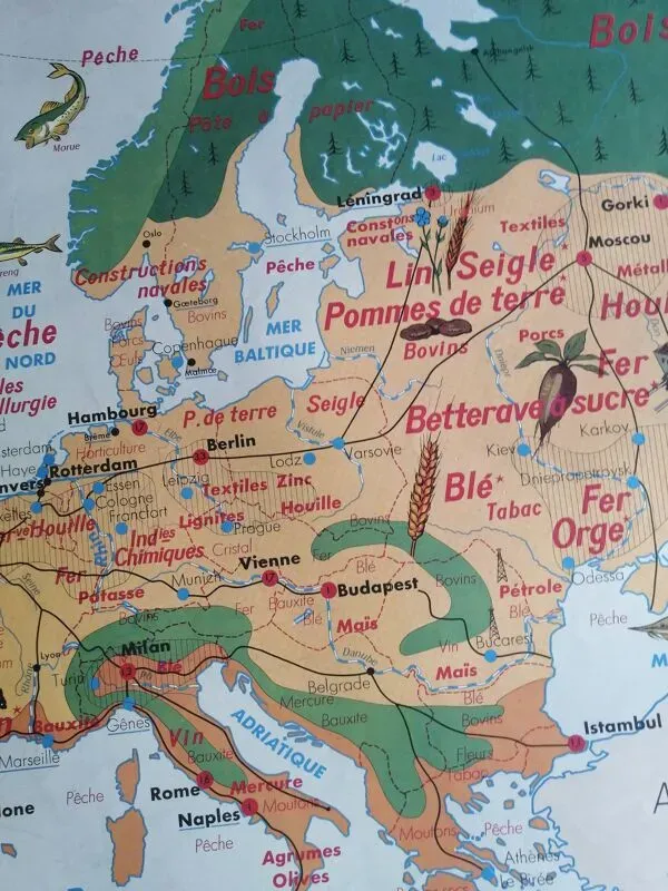 Illustration numéro 2 du produit Carte scolaire vintage mdi: Afrique-Europe économique.