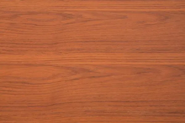 Illustration numéro 2 du produit Table basse danoise du milieu du siècle en bois de teck