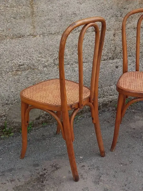 Illustration numéro 2 du produit Paire de chaises Fischel cannées, circa 1900