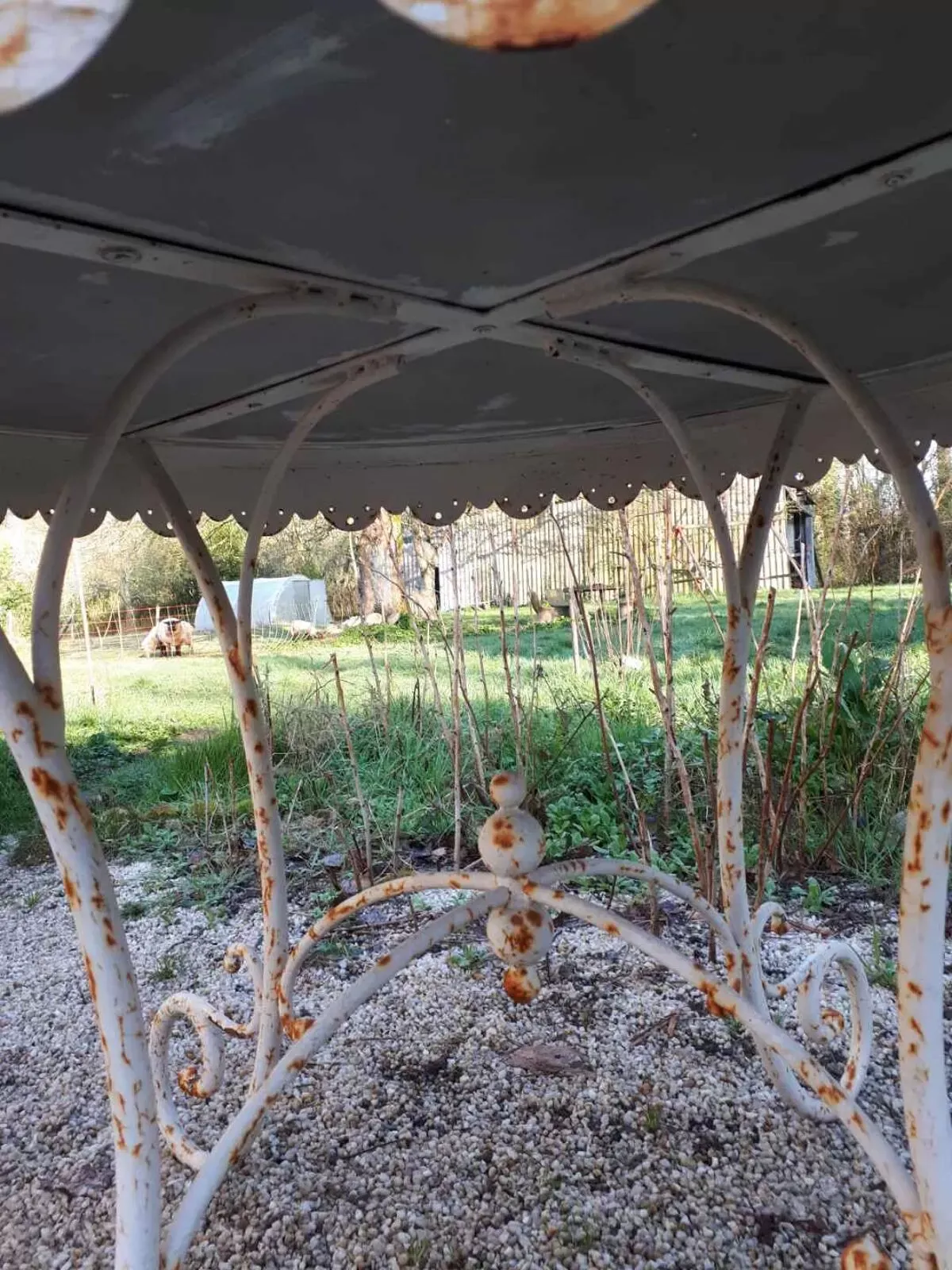 Illustration numéro 2 du produit Ancienne table de présentation