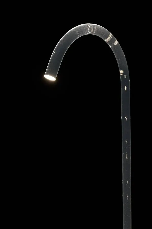 Illustration numéro 2 du produit Lampadaire ''King'' par Edy ten Berge