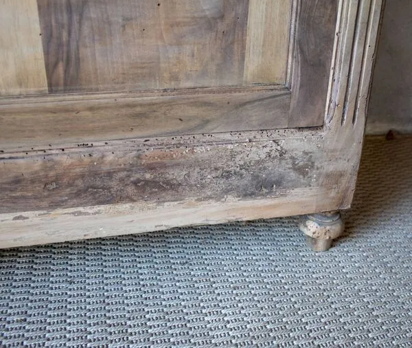 Illustration numéro 2 du produit Bonnetière vitrée année 1915 bois massif