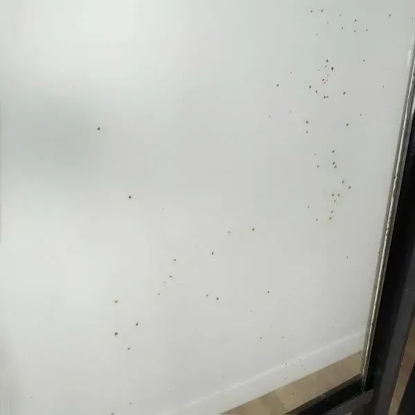 Illustration numéro 2 du produit Vestiaire métal boules bois et scoubidou années 60