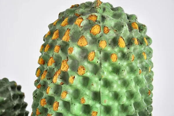 Illustration numéro 2 du produit 1er Porte-manteau Cactus par Guido Drocco et Franco Mello pour Gufram, 1968