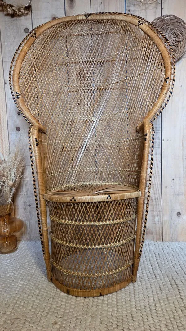 Illustration numéro 2 du produit Fauteuil Emmanuelle  en rotin