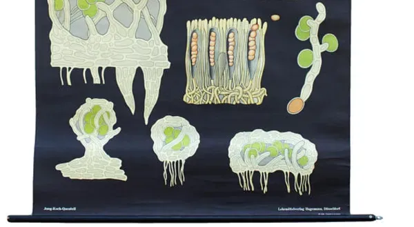 Illustration numéro 2 du produit Affiche de l’école de Jung-Koch-Quentell, plat, 1969