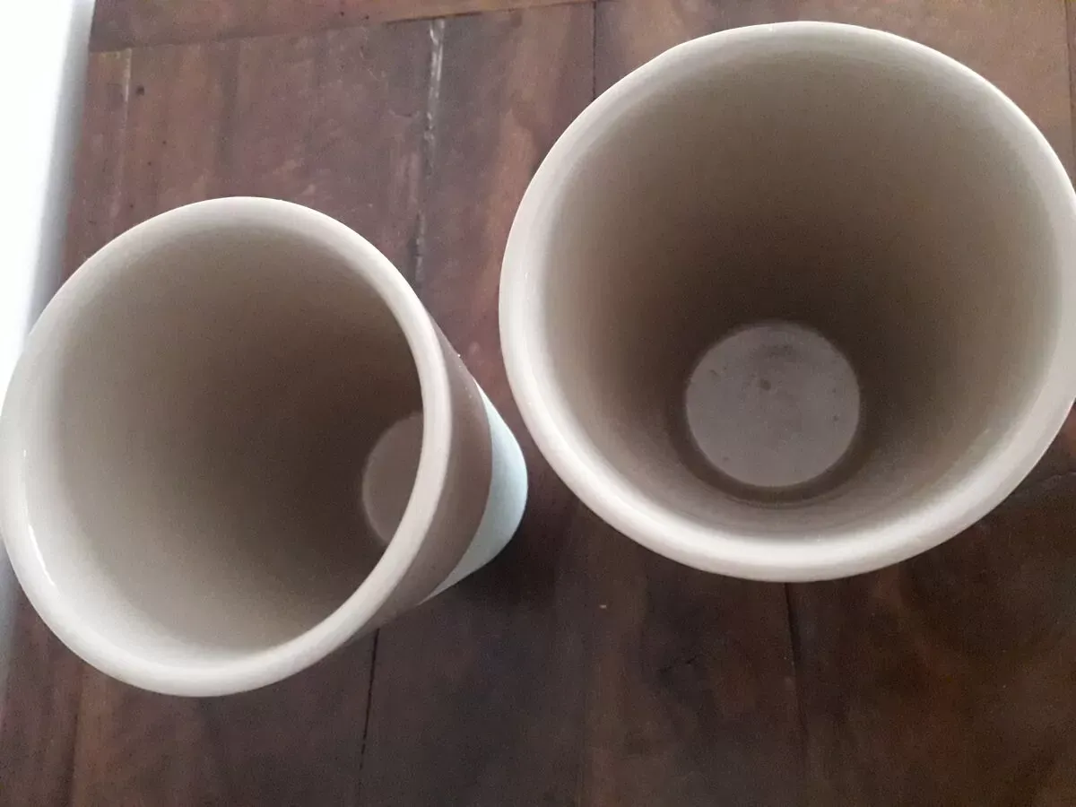 Illustration numéro 2 du produit Paire de vases